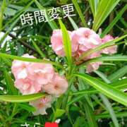 ヒメ日記 2026/08/04 06:50 投稿 宮瀬さら セカンドパートナー本店