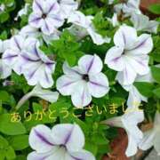 ヒメ日記 2026/08/09 06:30 投稿 宮瀬さら セカンドパートナー本店