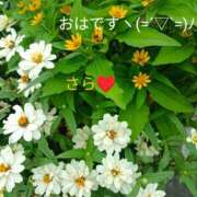ヒメ日記 2026/08/29 05:35 投稿 宮瀬さら セカンドパートナー本店