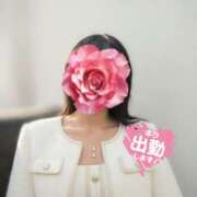 ヒメ日記 2026/08/03 13:59 投稿 ゆい 美妻隊