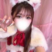 ヒメ日記 2026/06/22 07:44 投稿 りい JAPAN CLUB BUNNY LOUNGE