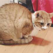 ヒメ日記 2026/06/15 07:49 投稿 しおり キスMy