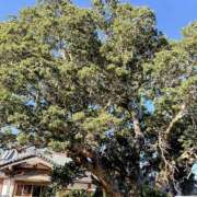 ヒメ日記 2026/06/11 17:47 投稿 南雲 HERMINE-エルミネ-