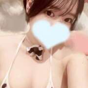 せい 【お得情報】ハピネス＆ドリーム松山道後温泉のせいです。 ハピネス＆ドリーム 松山道後温泉