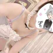 ヒメ日記 2026/06/04 11:32 投稿 ハヅキお嬢様 M&m Maidとm男の夢物語。