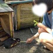 ヒメ日記 2026/06/11 17:51 投稿 ぷりん 桜色学園