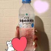 ヒメ日記 2026/09/09 18:17 投稿 ぷりん One More 奥様　五反田店