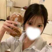 ヒメ日記 2026/08/11 16:28 投稿 ルル PALCO