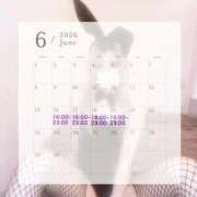 ヒメ日記 2026/06/15 23:11 投稿 にこ★小柄×モデル級スタイル♥ BUNNY PLAS