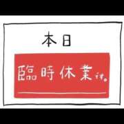 ヒメ日記 2026/08/09 12:10 投稿 みつは ハピネス東京