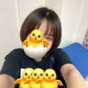 ヒメ日記 2026/06/10 09:07 投稿 ひよこ ハピネス東京