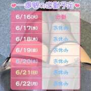 ヒメ日記 2026/06/18 09:07 投稿 ひよこ ハピネス東京