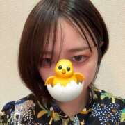 ヒメ日記 2026/07/04 18:07 投稿 ひよこ ハピネス東京