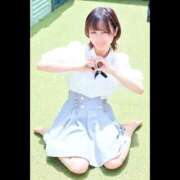 ヒメ日記 2026/07/15 02:55 投稿 ひよこ ハピネス東京