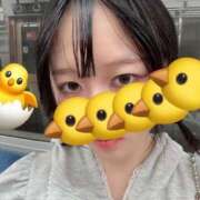 ヒメ日記 2026/08/27 18:57 投稿 ひよこ ハピネス東京