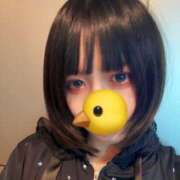 ヒメ日記 2026/09/19 11:41 投稿 ひよこ ハピネス東京