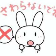 ヒメ日記 2026/06/09 09:35 投稿 さくら♡可愛さ×ご褒美ボディ if(イフ) 中村店
