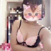 ヒメ日記 2026/06/13 13:49 投稿 いろは てこるん