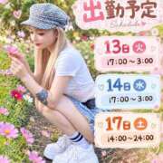 TENGA/テンガ・極嬢 来週の出勤予定🌸🌸 Muteki Platinum