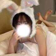 ヒメ日記 2026/06/03 05:00 投稿 かなみ 綺麗なお姉様専門　新横浜リング4C（アンジェリークグループ）
