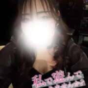 ヒメ日記 2026/06/03 07:38 投稿 ダイヤモンドテトラ 女の子市場