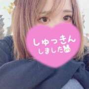 ヒメ日記 2026/08/03 12:00 投稿 おと てこるん