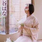 ヒメ日記 2026/07/04 22:53 投稿 桐谷はな 厚木人妻花壇