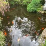ヒメ日記 2026/06/28 12:11 投稿 いずみ 三つ乱の湯