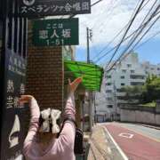 ヒメ日記 2026/06/18 11:41 投稿 ひなた 三つ乱の湯