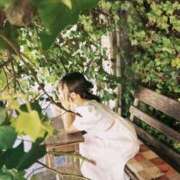 ヒメ日記 2026/07/25 13:01 投稿 ひなた 三つ乱の湯