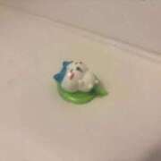 ヒメ日記 2026/07/07 21:21 投稿 ひまわり 三つ乱の湯