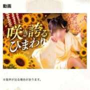 ヒメ日記 2026/07/13 20:21 投稿 ひまわり 三つ乱の湯