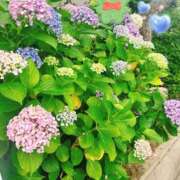 ヒメ日記 2026/06/11 00:21 投稿 あや 三つ乱の湯