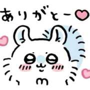ヒメ日記 2026/06/12 06:02 投稿 めい IRIS一宮