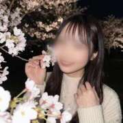 ヒメ日記 2026/06/06 19:50 投稿 津久井みはる MIRAI TOKYO 六本木店