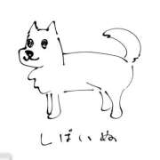 ヒメ日記 2026/09/10 16:10 投稿 マル クリエーション
