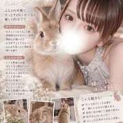 ヒメ日記 2026/09/21 18:42 投稿 ゆめ◆非の打ち所がない完璧美女 即イキ淫乱倶楽部 松戸店