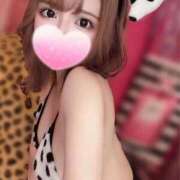 ヒメ日記 2026/06/06 21:02 投稿 ゆめ◆非の打ち所がない完璧美女 即イキ淫乱倶楽部 船橋店