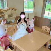 ヒメ日記 2026/07/10 08:02 投稿 ゆめ◆非の打ち所がない完璧美女 即イキ淫乱倶楽部 船橋店