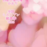 ヒメ日記 2026/09/17 00:05 投稿 かおり 西船人妻花壇