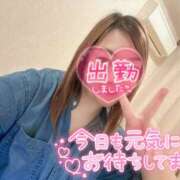ヒメ日記 2026/06/10 07:48 投稿 りん エンジェルシリカ