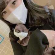 ヒメ日記 2026/06/09 14:15 投稿 ゆずき 一宮稲沢小牧ちゃんこ