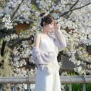 ヒメ日記 2026/06/04 06:08 投稿 妃向 ゆうり KOBE GOLD