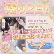 ヒメ日記 2026/07/14 18:27 投稿 妃向 ゆうり KOBE GOLD（神戸ゴールド）