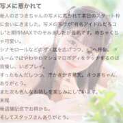 ヒメ日記 2026/06/21 16:11 投稿 さつき The White
