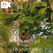 ヒメ日記 2026/07/17 12:15 投稿 みなと 池袋人妻城