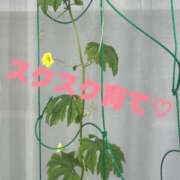 ヒメ日記 2026/08/09 14:05 投稿 みなと 池袋人妻城