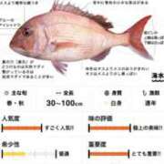 ヒメ日記 2026/08/23 08:35 投稿 みなと 池袋人妻城
