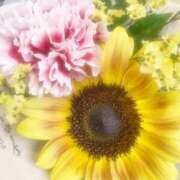 ヒメ日記 2026/07/11 23:43 投稿 『ももか』 ESSENCE