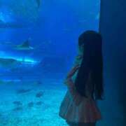 ヒメ日記 2026/06/20 13:46 投稿 ノノカ エピソード(品川)